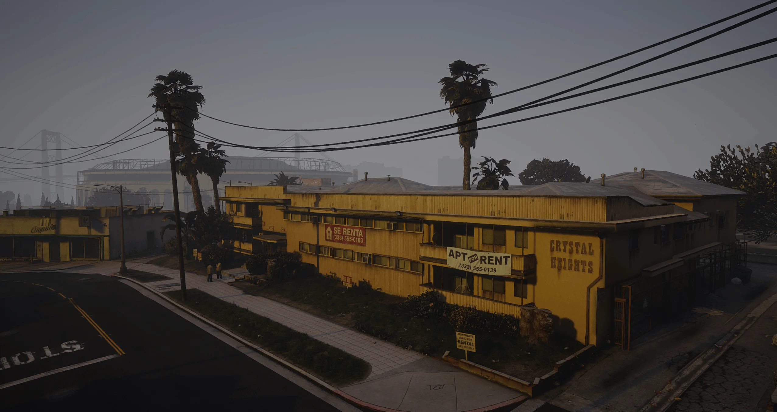 FiveM With Graphics vs Without Graphics